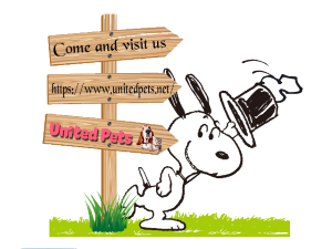 an invitation to united pets 